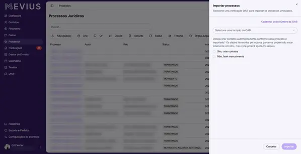Screenshot: Gestão de Processos